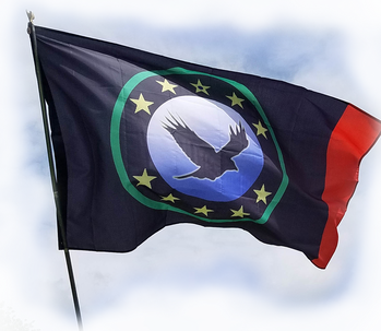 Recovery Flag
